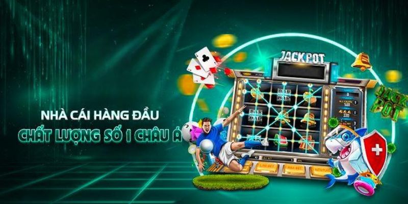 Giới thiệu 8DAY với các danh mục đa dạng